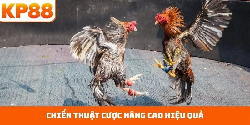 Chiến thuật cược nâng cao hiệu quả