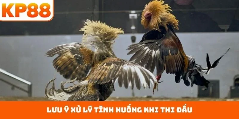 Lưu ý xử lý tình huống khi thi đấu